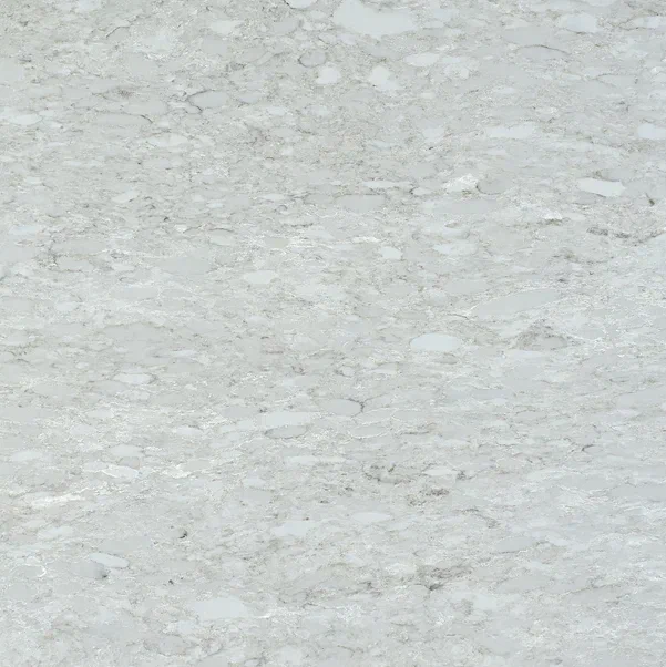 8004 TANGULA